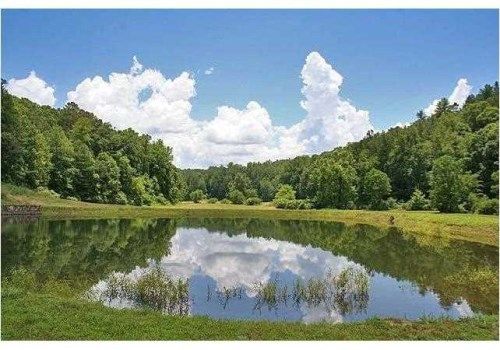 568 Tails Creek Church Rd, Ellijay, GA 30540