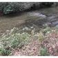 295 Horseshoe Ln, Dahlonega, GA 30533 ID:15153713