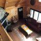 2939 Mountain Tops Rd, Blue Ridge, GA 30513 ID:15156193