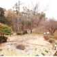 3141 Norman Circle, Duluth, GA 30096 ID:15214550