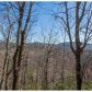 2782 Wilderness Parkway, Jasper, GA 30143 ID:15132670