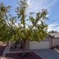 621 Bullwhip Court, Henderson, NV 89011 ID:15129661