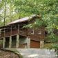 334 Cherokee Trl, Ellijay, GA 30540 ID:15146384