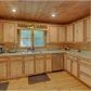 55 Pinnacle Dr, Mineral Bluff, GA 30559 ID:15150615