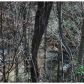 196 Waterfall Dr, Cleveland, GA 30528 ID:15120963