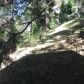 797 Berne Dr, Crestline, CA 92325 ID:15217141