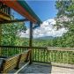 520 Foxfire Rd, Blue Ridge, GA 30513 ID:15153868