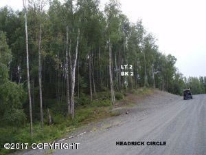 6205 S Headrick Circle, Big Lake, AK 99652