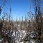 15696 W Henderson Road, Big Lake, AK 99652 ID:14955069