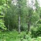 Lot 7 W Necrason Drive, Big Lake, AK 99652 ID:14955088