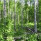 Lot 2 W Necrason Drive, Big Lake, AK 99652 ID:14955119