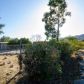 50937 Canyon Rd, Morongo Valley, CA 92256 ID:15223725