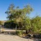 50937 Canyon Rd, Morongo Valley, CA 92256 ID:15223726