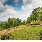 5962 Burnt Mountain Rd, Ellijay, GA 30536 ID:15152611