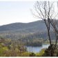 297 Mcelroy Mountain Dr, Jasper, GA 30143 ID:15156960