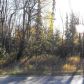 L13 B1 Upper Dearmoun Road, Anchorage, AK 99516 ID:14949630