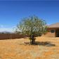 121 East Blackhorn, Pahrump, NV 89048 ID:15093020