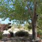 1120 East Carson, Pahrump, NV 89048 ID:15025176