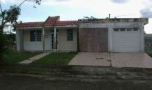 14 Valle Aramana Corozal, PR 00783