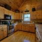 403 Necowa Cove Overlook, Blue Ridge, GA 30513 ID:15320890