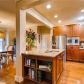 203 Misty Hill Trl, Dallas, GA 30132 ID:15473929