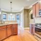 305 Kells Ct, Woodstock, GA 30188 ID:15495834