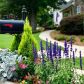 3764 Falls Trl, Winston, GA 30187 ID:15459708