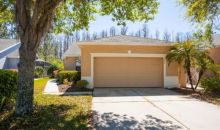 7235 Cleopatra Dr Land O Lakes, FL 34637