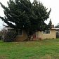 238 N M St, Lompoc, CA 93436 ID:15614293