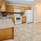 11524 Alicias Ct, Hampton, GA 30228 ID:15666355