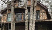 161 Cozy Cove Place Blairsville, GA 30512