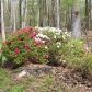 5081 Ponderosa Farm Rd, Gainesville, GA 30507 ID:15698034