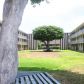 1425 Kaumualii St Unit D/230, Honolulu, HI 96817 ID:15558875