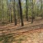 463 Eagle Nest Trl, Ball Ground, GA 30107 ID:15733627