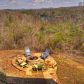 240 Necowa Cove Overlook, Blue Ridge, GA 30513 ID:15689088