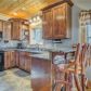 740 Indian Trace, Mineral Bluff, GA 30559 ID:15384679