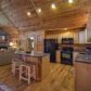 195 Trina Ln, Blue Ridge, GA 30513 ID:15749037