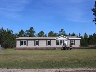 253 Hummingbird Ln, Ludowici, GA 31316