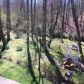 312 Bent Ridge Dr N, Dawsonville, GA 30534 ID:15597092