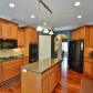 6225 Autumn Ct, Dawsonville, GA 30534 ID:15809105