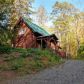 317 Teaberry Ridge Rd, Talking Rock, GA 30175 ID:15768260