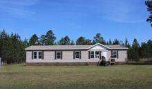 253 Hummingbird Ln Ludowici, GA 31316