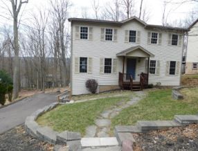 280 Snow Valley Dr, Drums, PA 18222