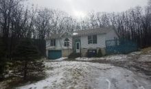 24 Oak Ln Waymart, PA 18472