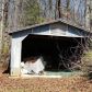 2405 Virginia Heights Dr, Cumming, GA 30041 ID:15808812