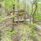 764 Chestnut Cove Trl, Jasper, GA 30143 ID:15815846