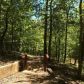 5262 Forest Cove Rd, Gainesville, GA 30506 ID:15330400