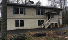 3911 N Fairway Lake Ariel, PA 18436