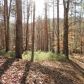 28911 Morganton Hwy, Suches, GA 30572 ID:15779102