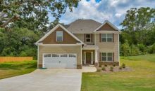 384 Mary Hill Ln Douglasville, GA 30134